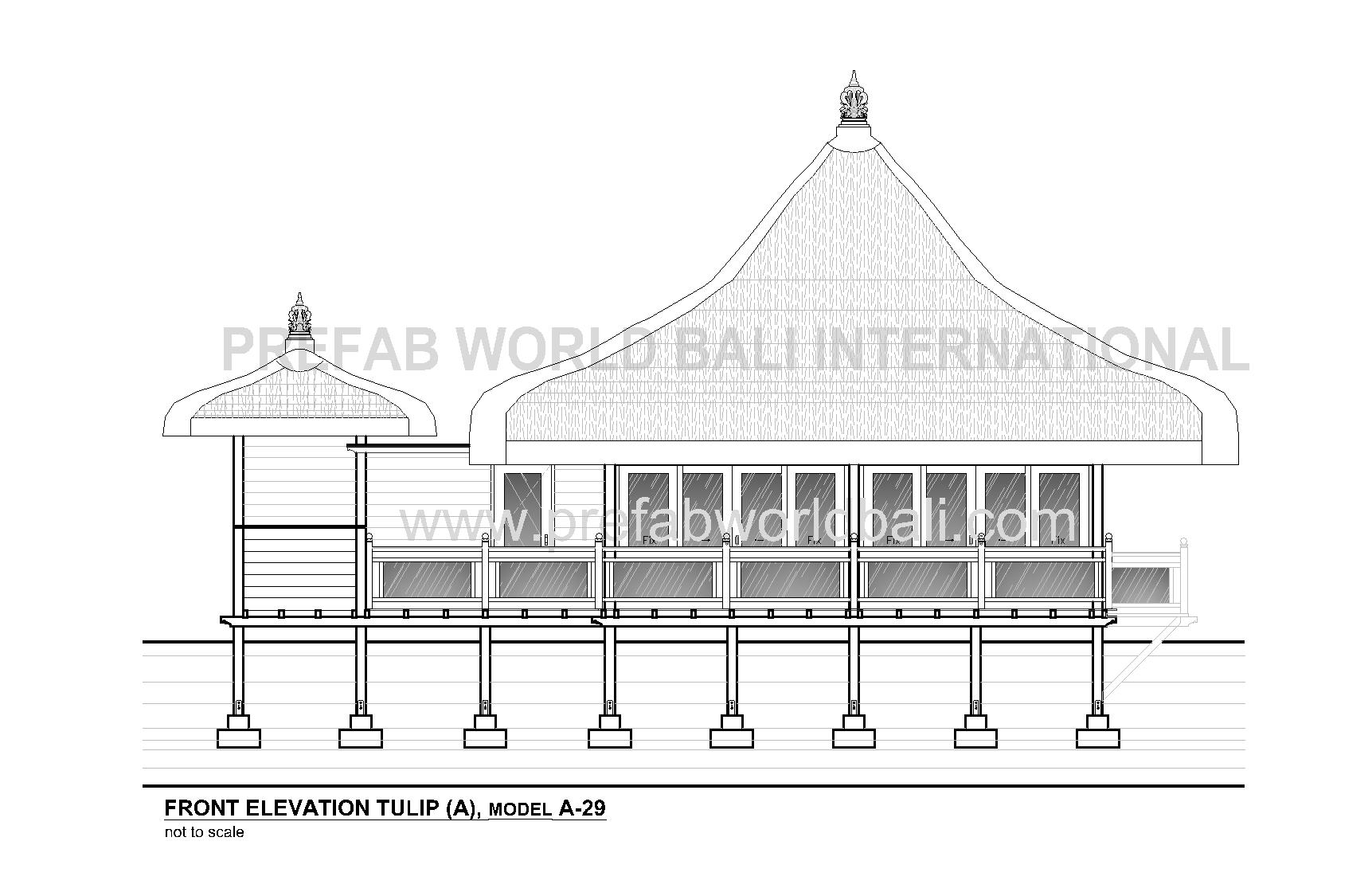 Tulip front elevation