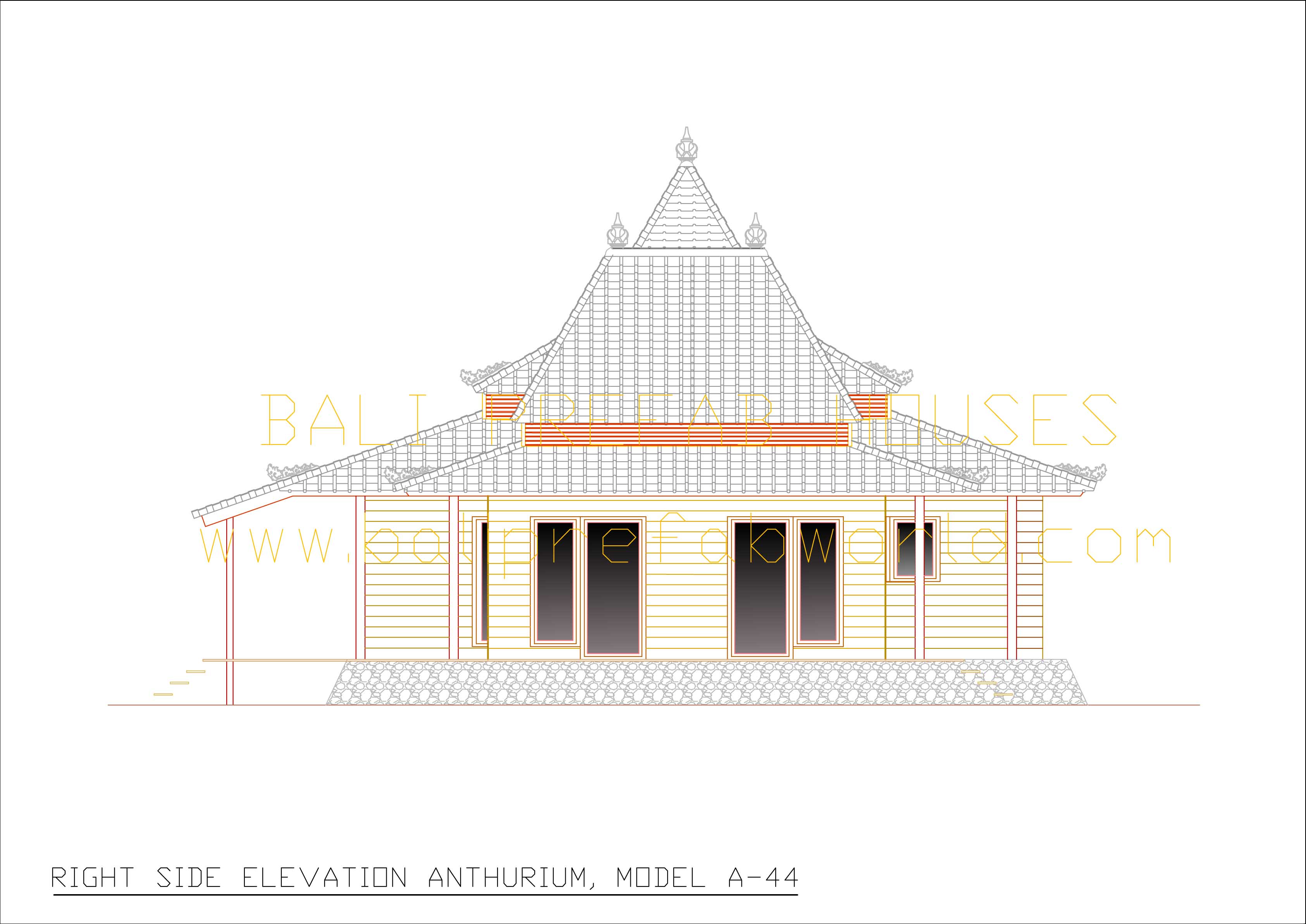 Anthurium right side elevation
