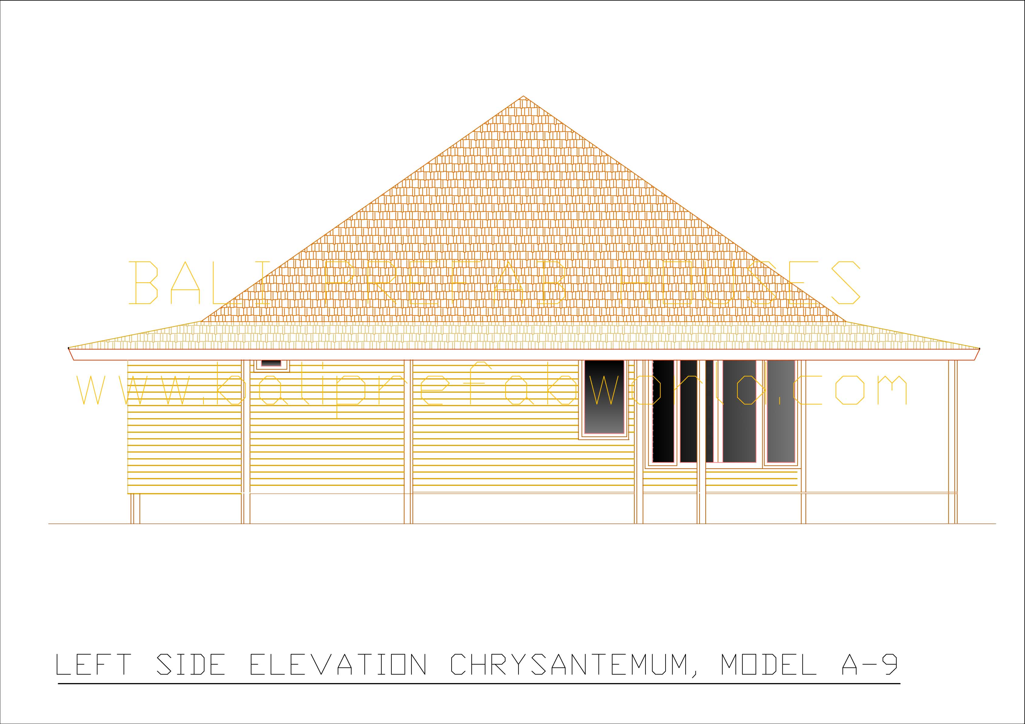 Chrysantemum left side elevation