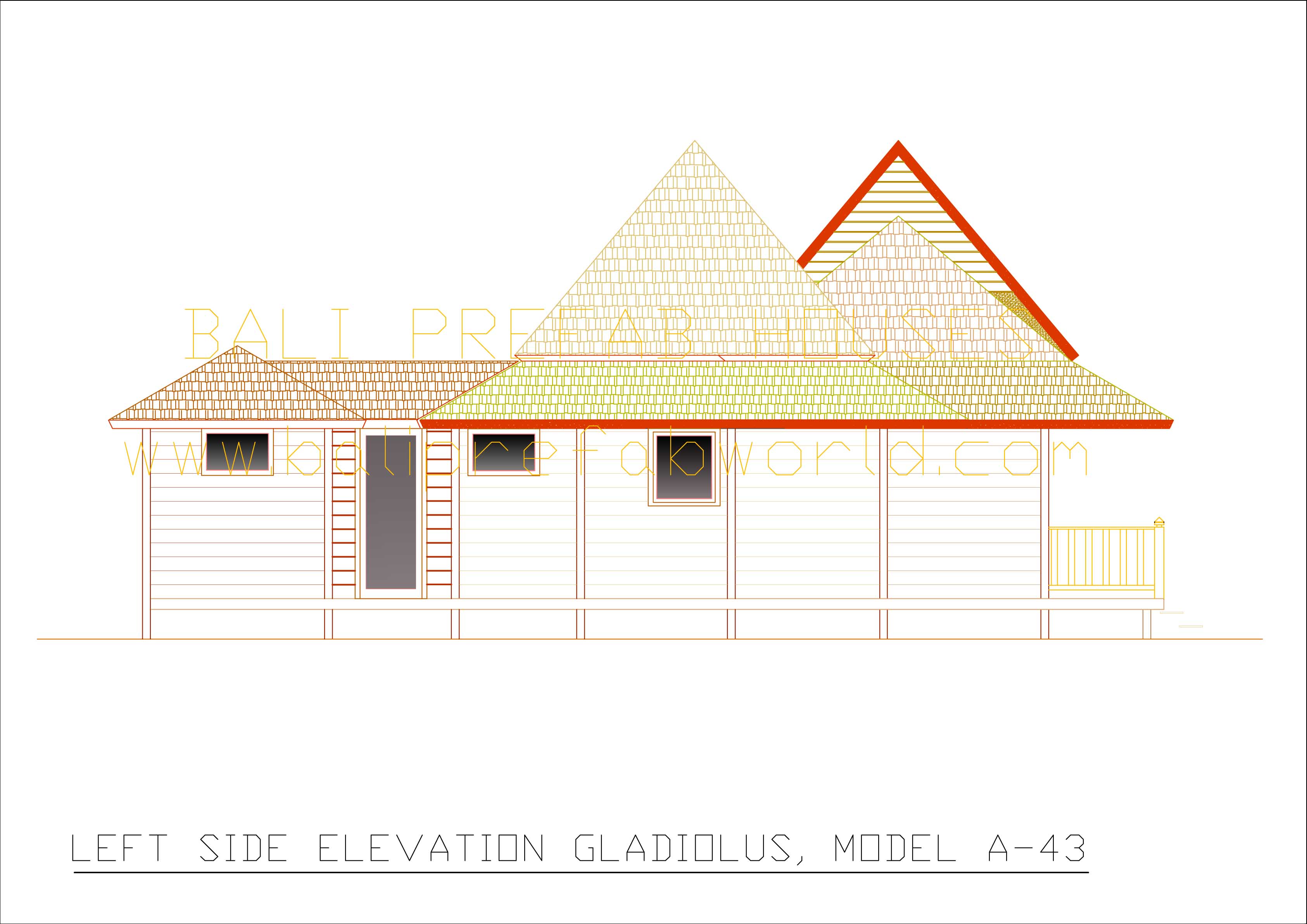 Gladiolus left side elevation
