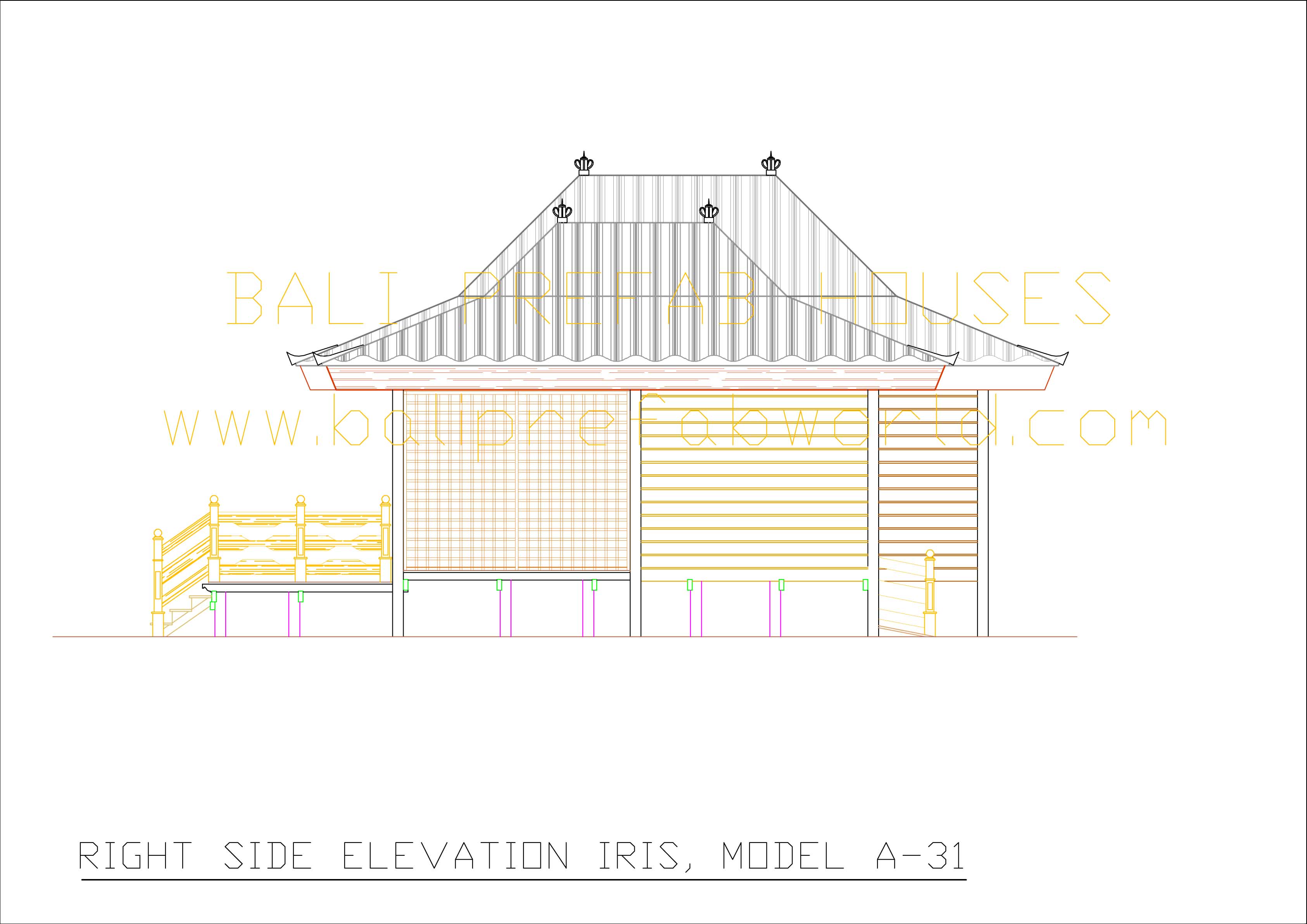 Iris right side elevation
