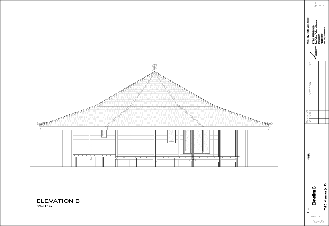 Chrysantemum large elevation B