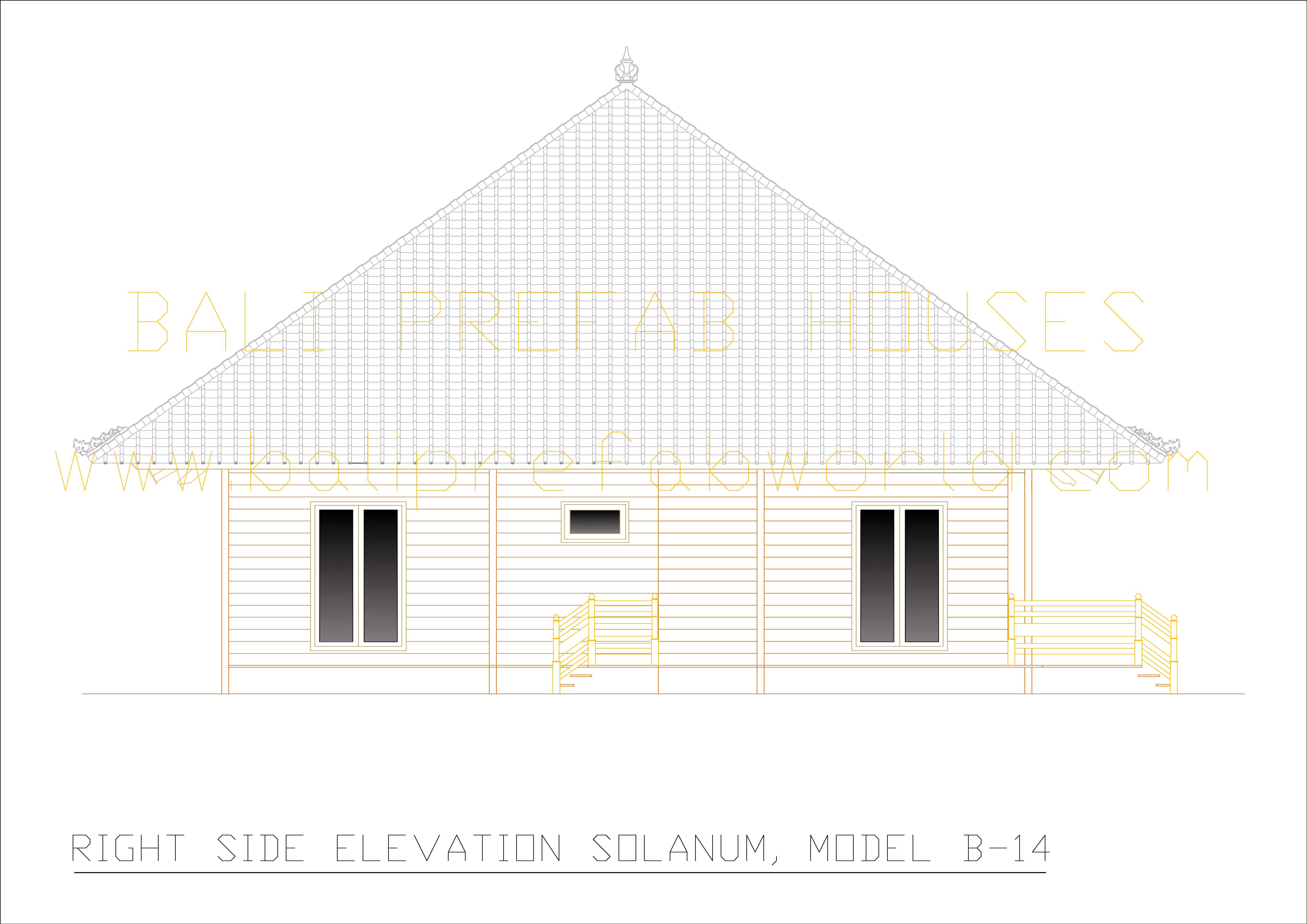 Solanum right side elevation
