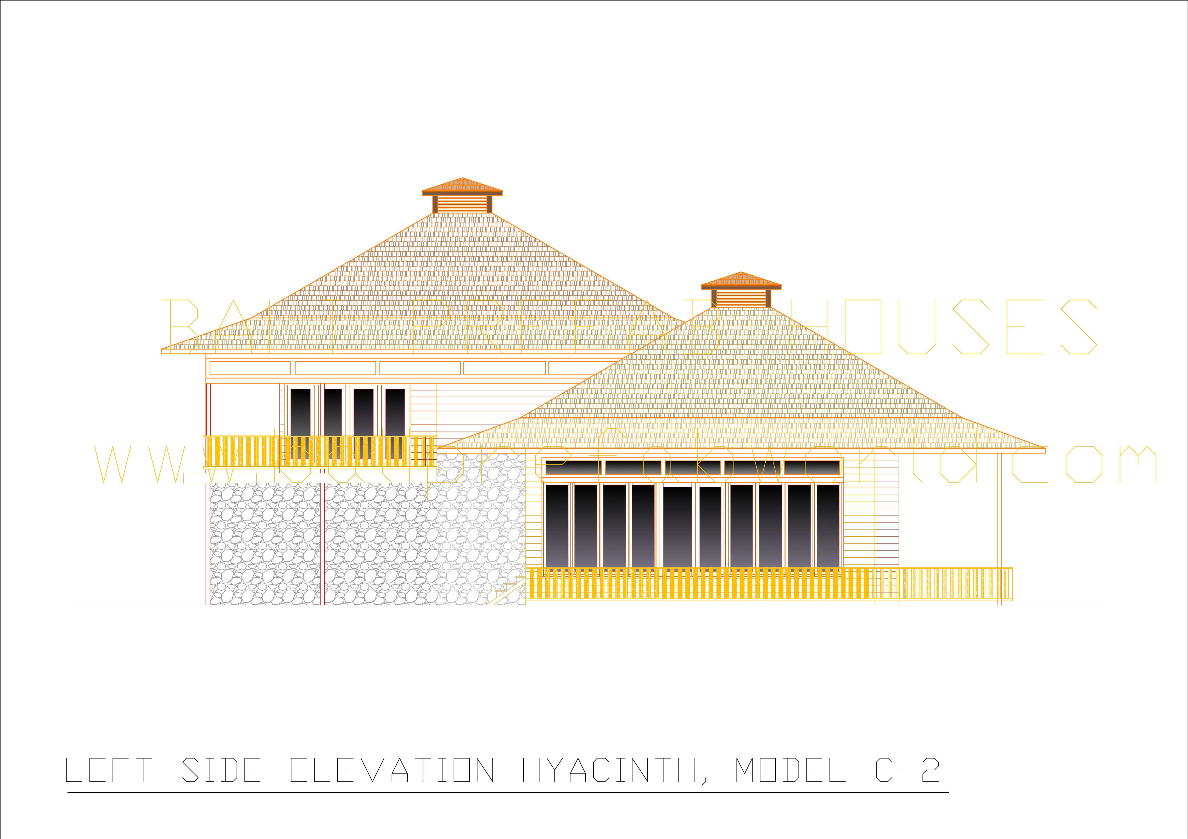 Hyacinth left side elevation
