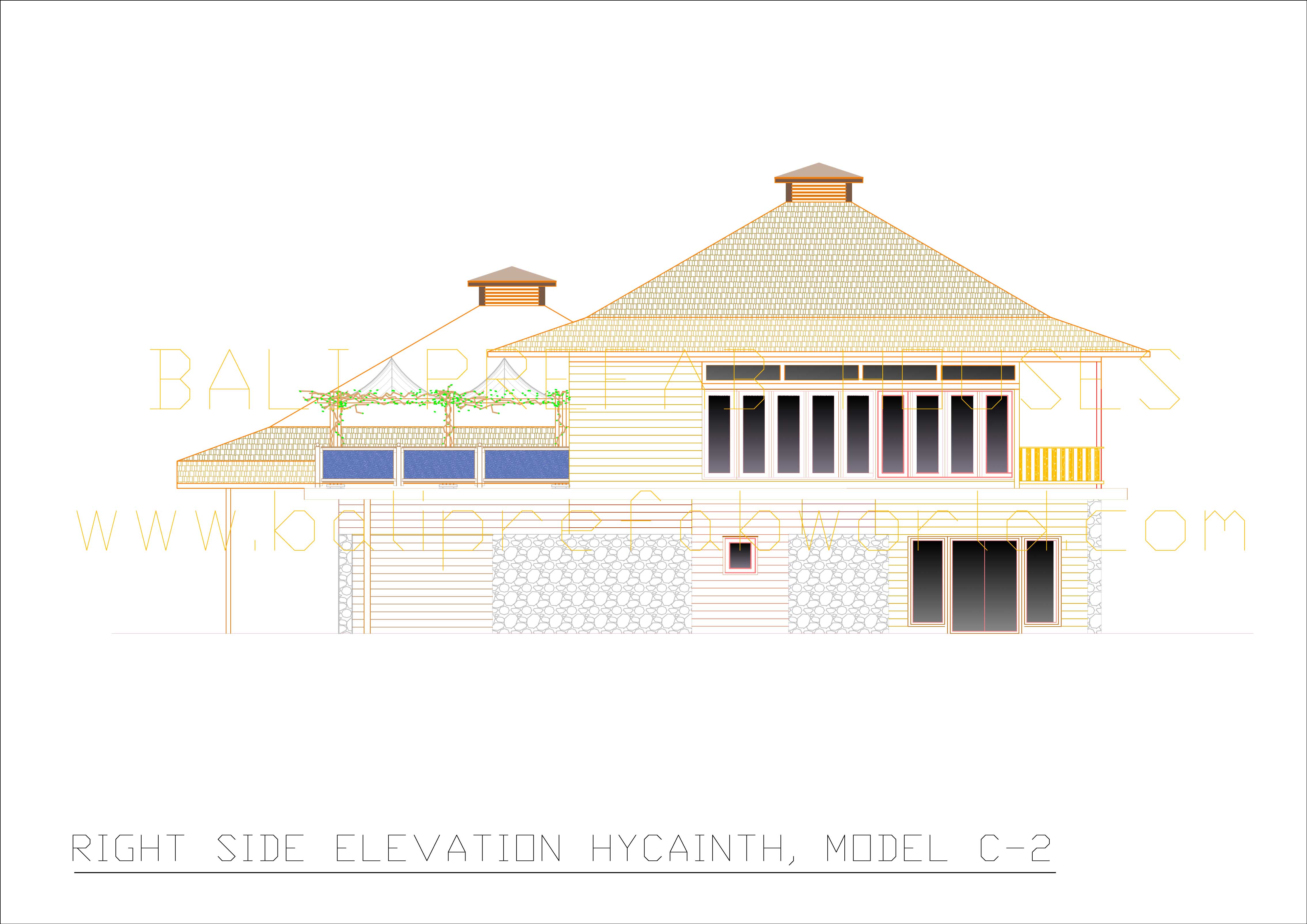 Hyacinth right side elevation