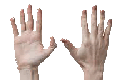 Hands