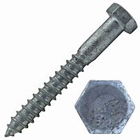 Galvanized lag bolt