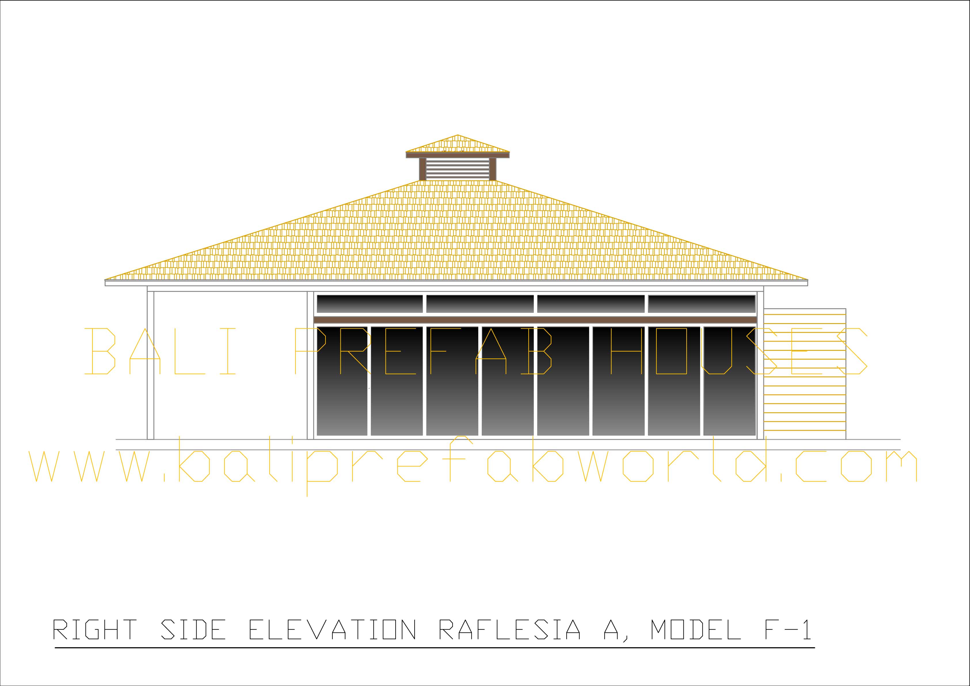 Raflesia A right side elevation
