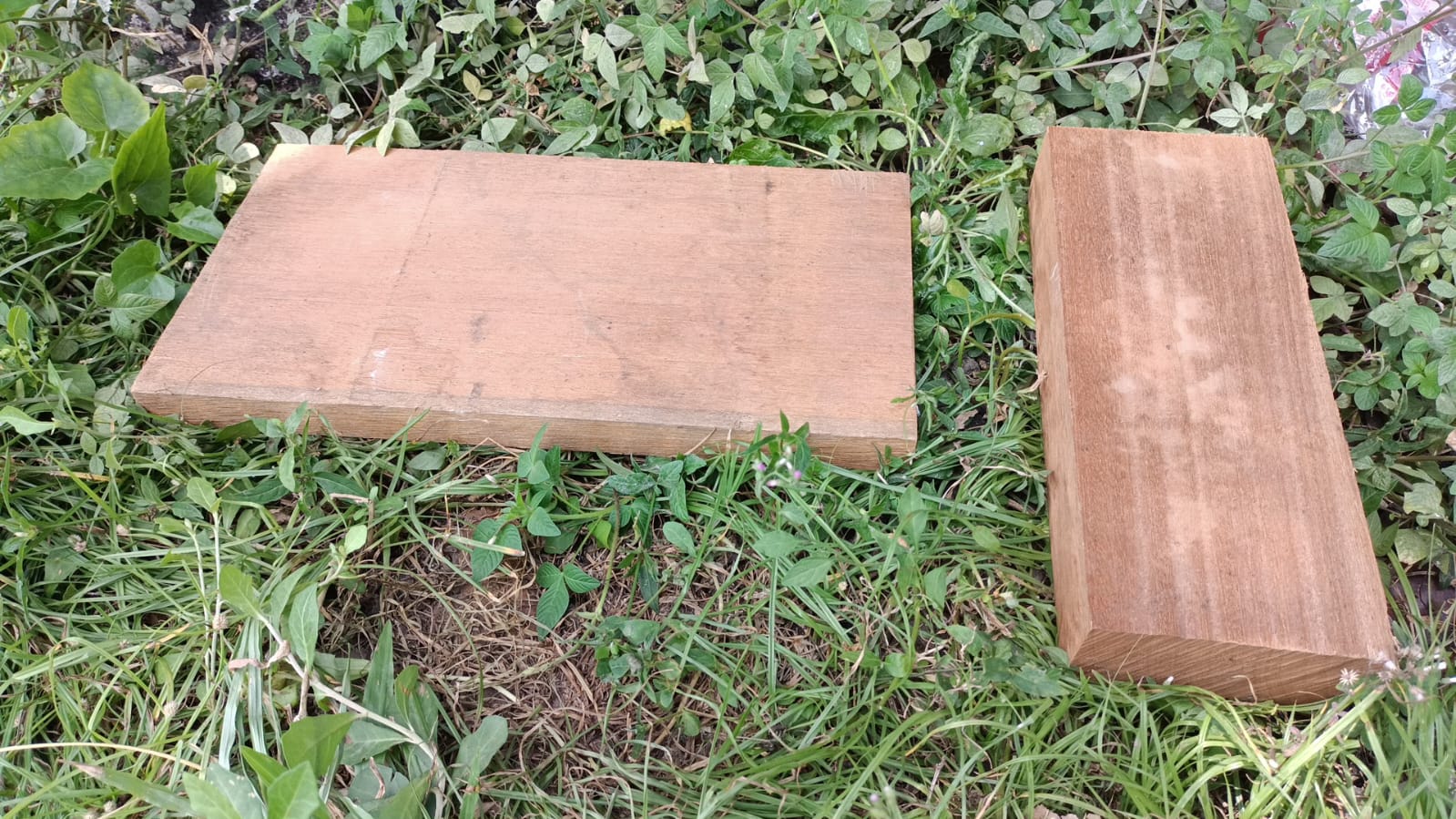 Bangkirai heartwood