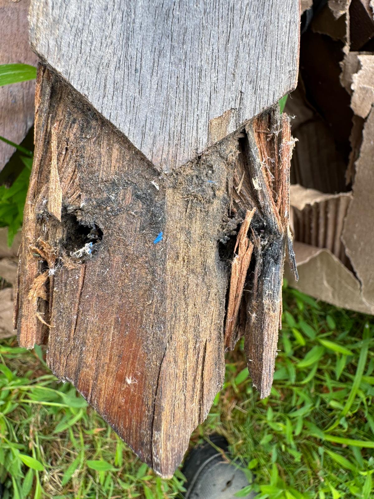 Damaged column