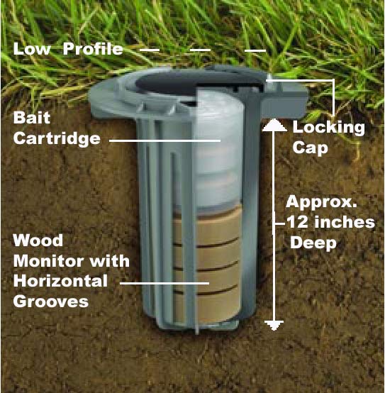 Termite bait station